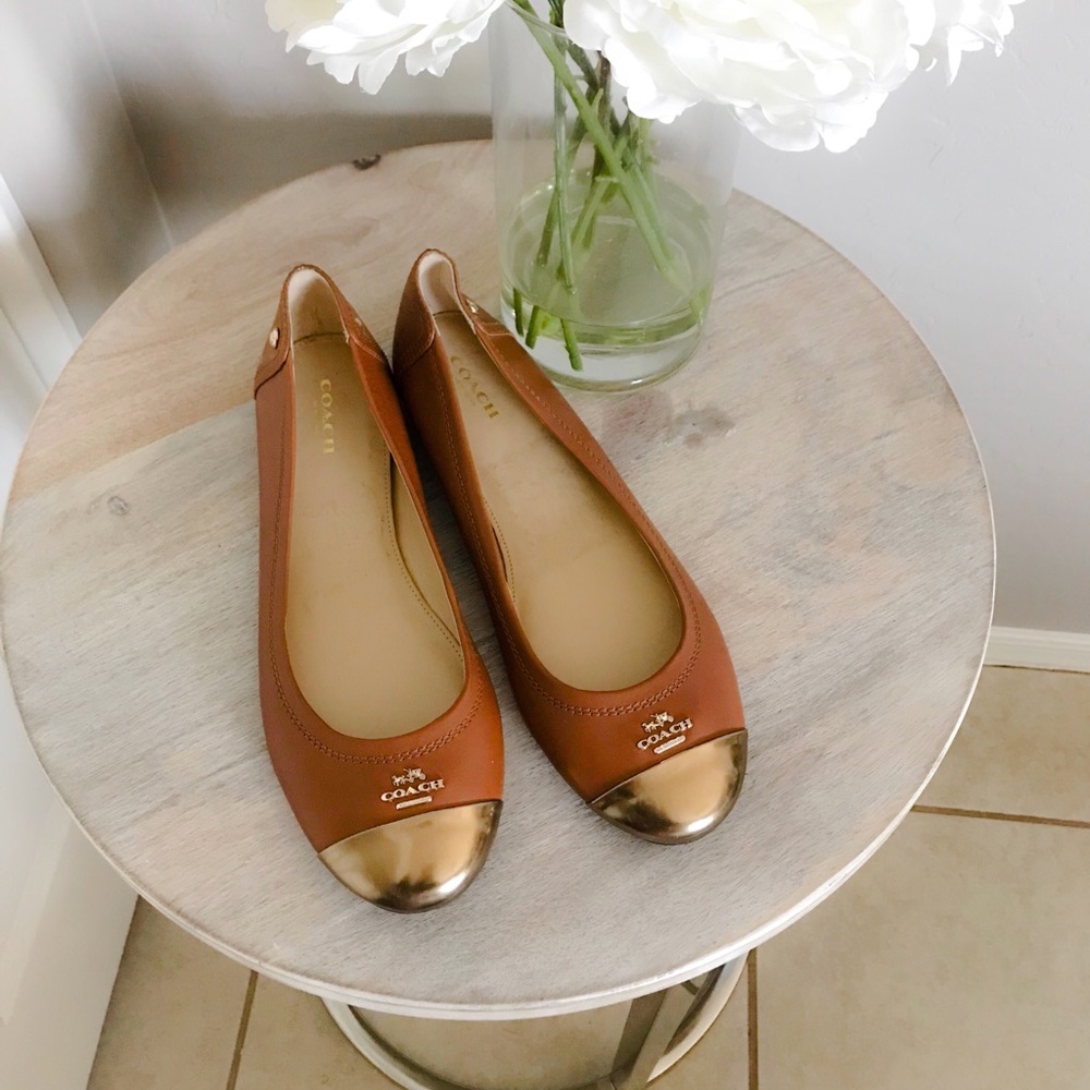 Tan and Gold Coach Ballet Flats